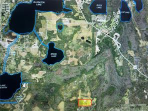285 acres south of Harmony High School Osceola County