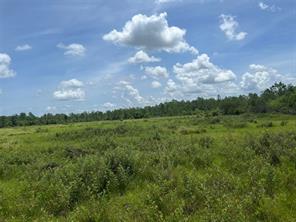 Holopaw Florida pasture land 285 acres ground view
