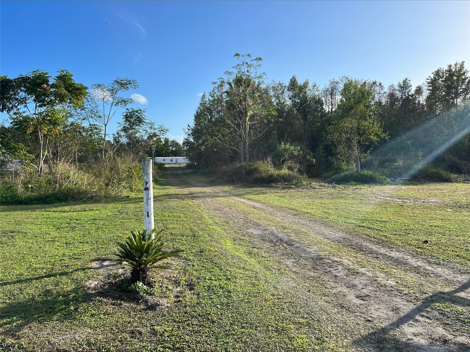 13333 Misti Loop Lakeland FL